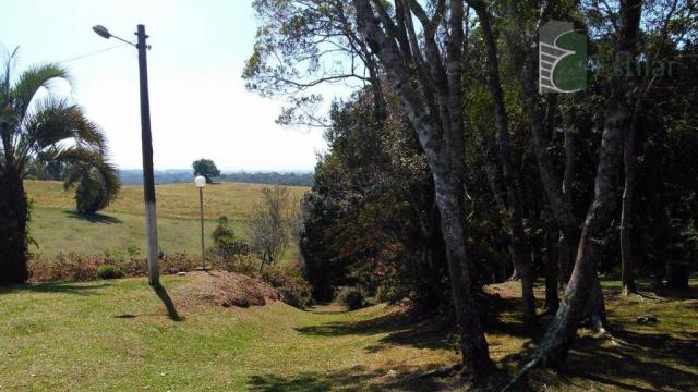 Chácara no campestre da faxina, são josé dos pinhais. - Foto 9