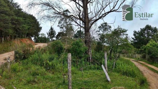 Chácara no curralinho em são josé dos pinhais. - Foto 12