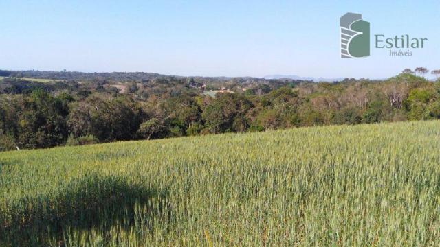 Chácara na faxina, são josé dos pinhais - ar0018. - Foto 9
