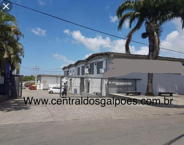 Espetacular Condominio. Confira - Foto 3