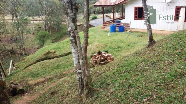Chácara na colônia murici (são josé dos pinhais) - distrito. - Foto 14