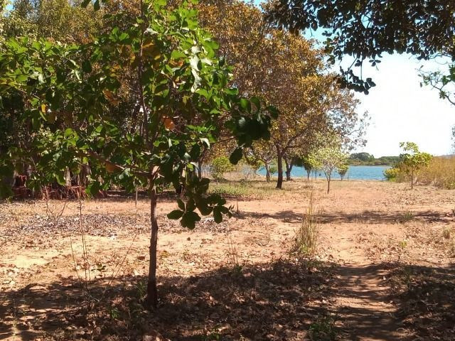 Chácara na Beira do Lago! 14 km de Palmas! Praia de Águas Cristalinas! - Foto 12