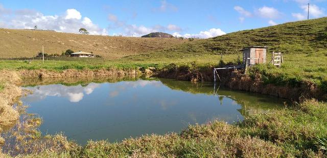 Terra em Barra de São Francisco com 4500 pés de café - Foto 6