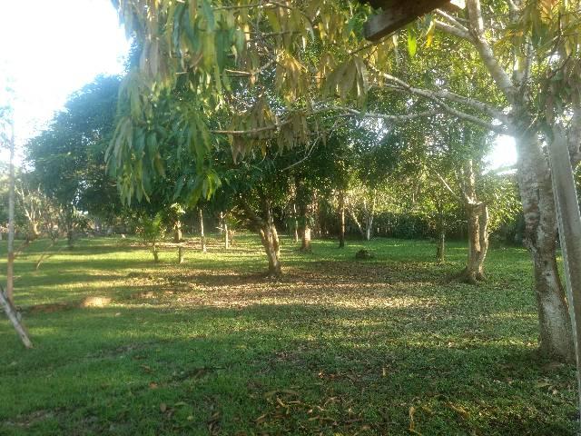 Troco ou vendo chácara - Foto 10