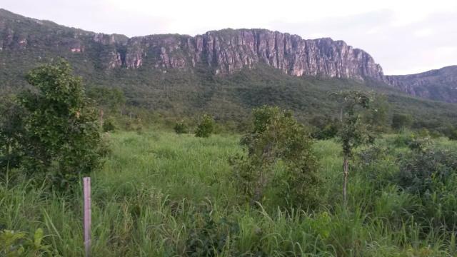 Fazenda de 300 alqueires em cavalcante go - Foto 8