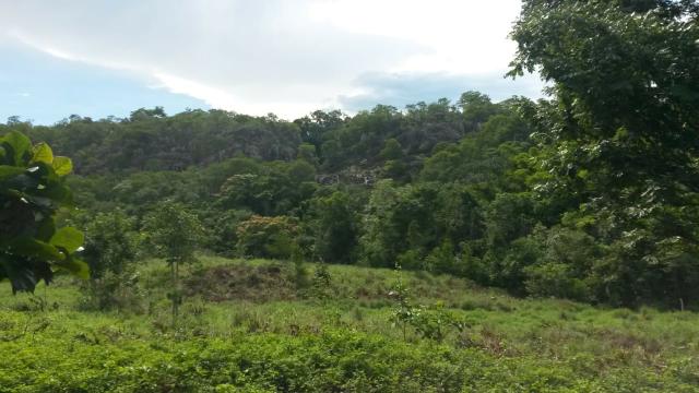 Fazenda de 300 alqueires em cavalcante go - Foto 6