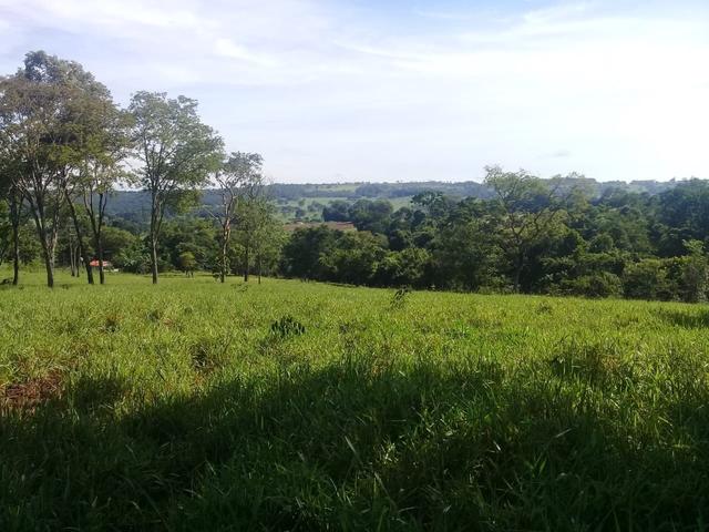 Chacara de 3 alqueires em bela vista 52 km de goiania