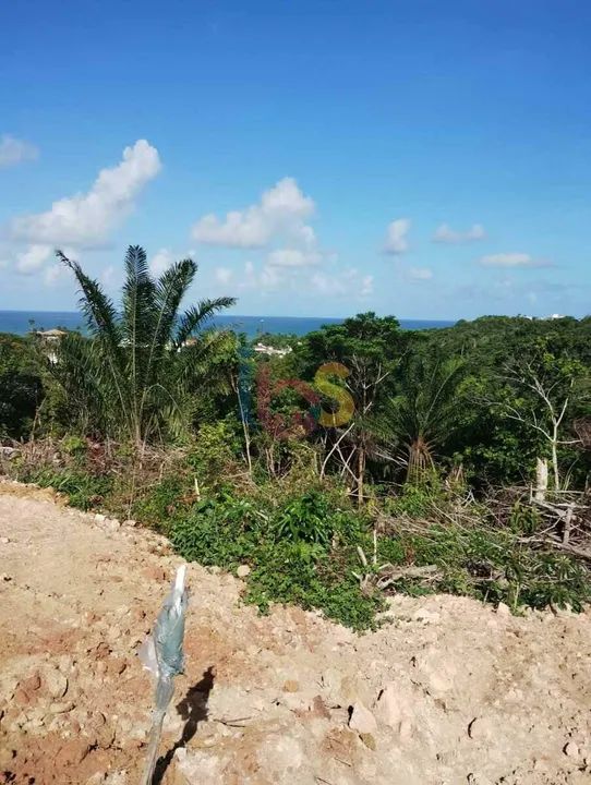 VENDO LOTEAMENTO NA PRAIA DO SUL - Foto 2