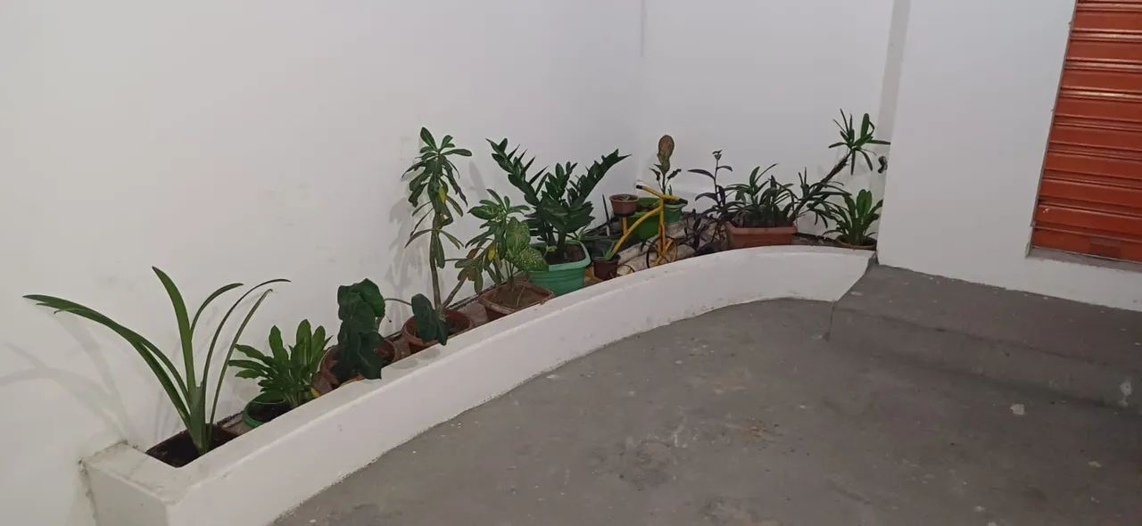 ALUG LOJA NO CAMPO DOURADO - Foto 3