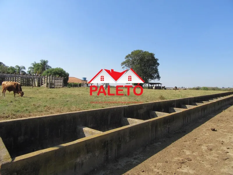 Sítio 2 alqueires com estrutura para criação de gado a venda na cidade de Pereiras interio
