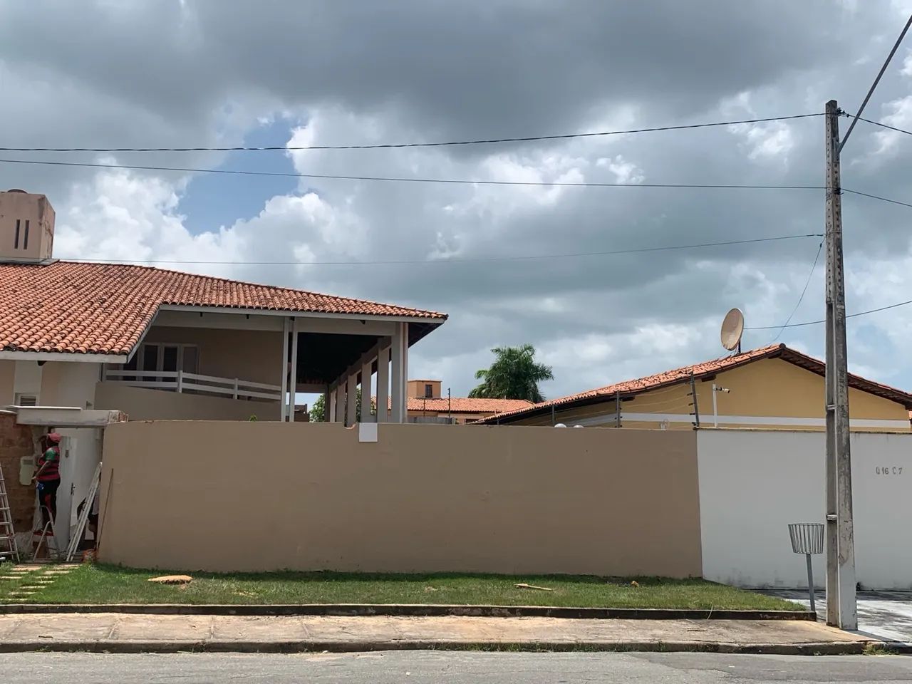 Corte e poda de arvores e palmeiras  - Foto 3