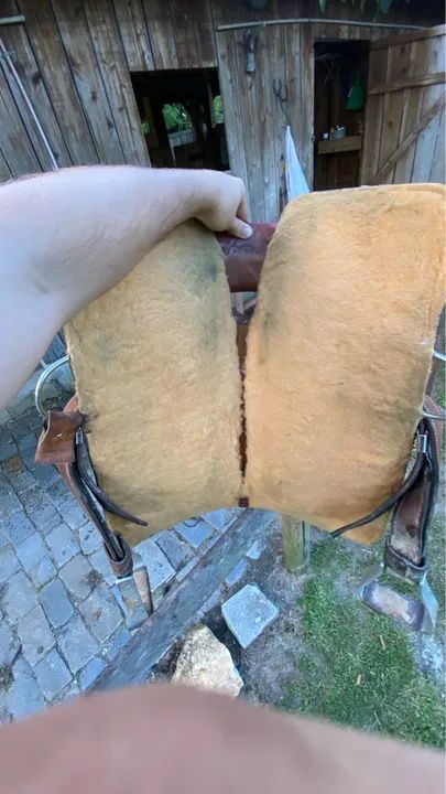 Sela americana ME traias - Foto 3