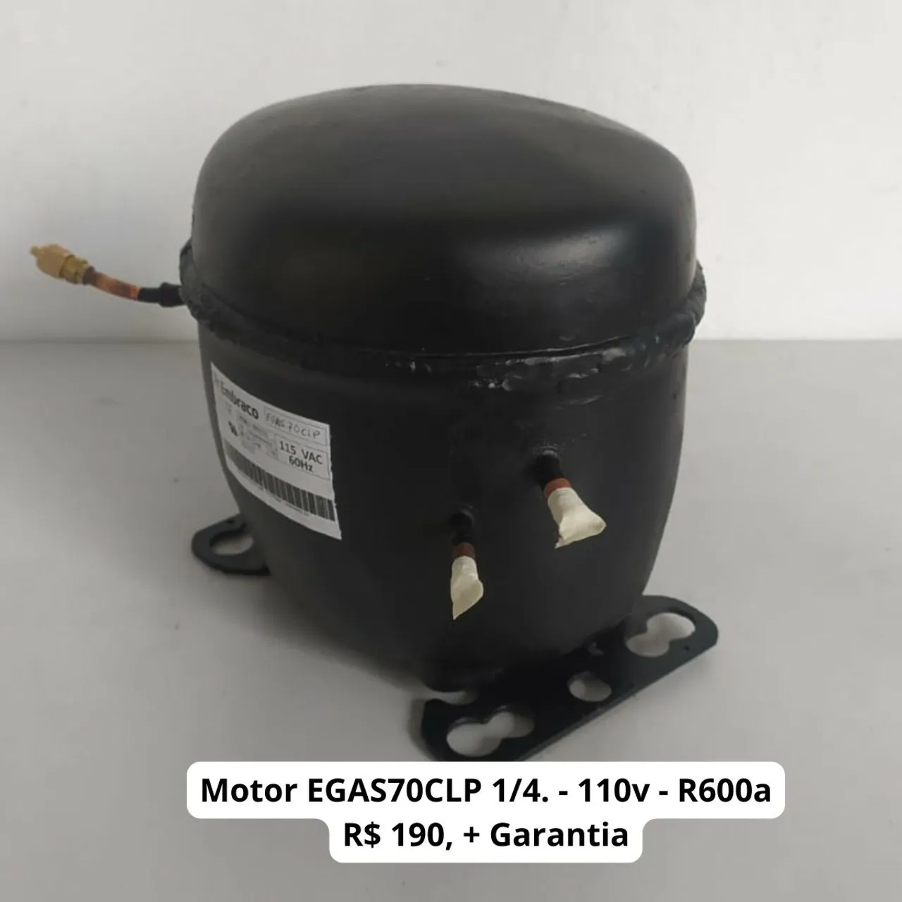 Motor EGAS70CLP 1/4. - 110v - R600a