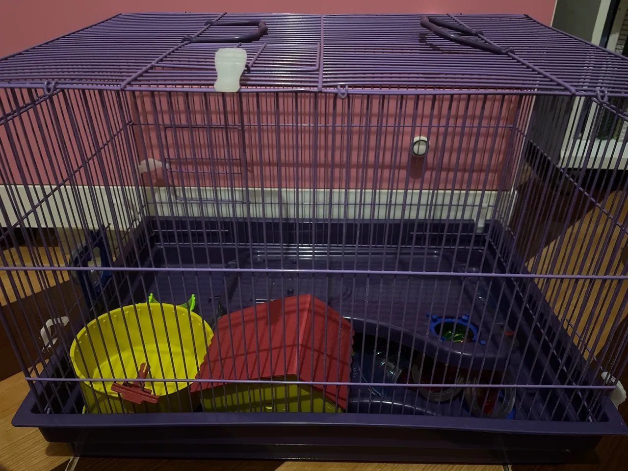 Casa para hamster