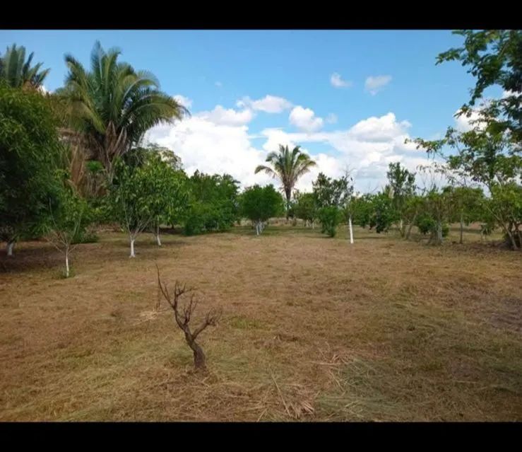 Vendo sítio no km45. Aceito proposta  - Foto 3