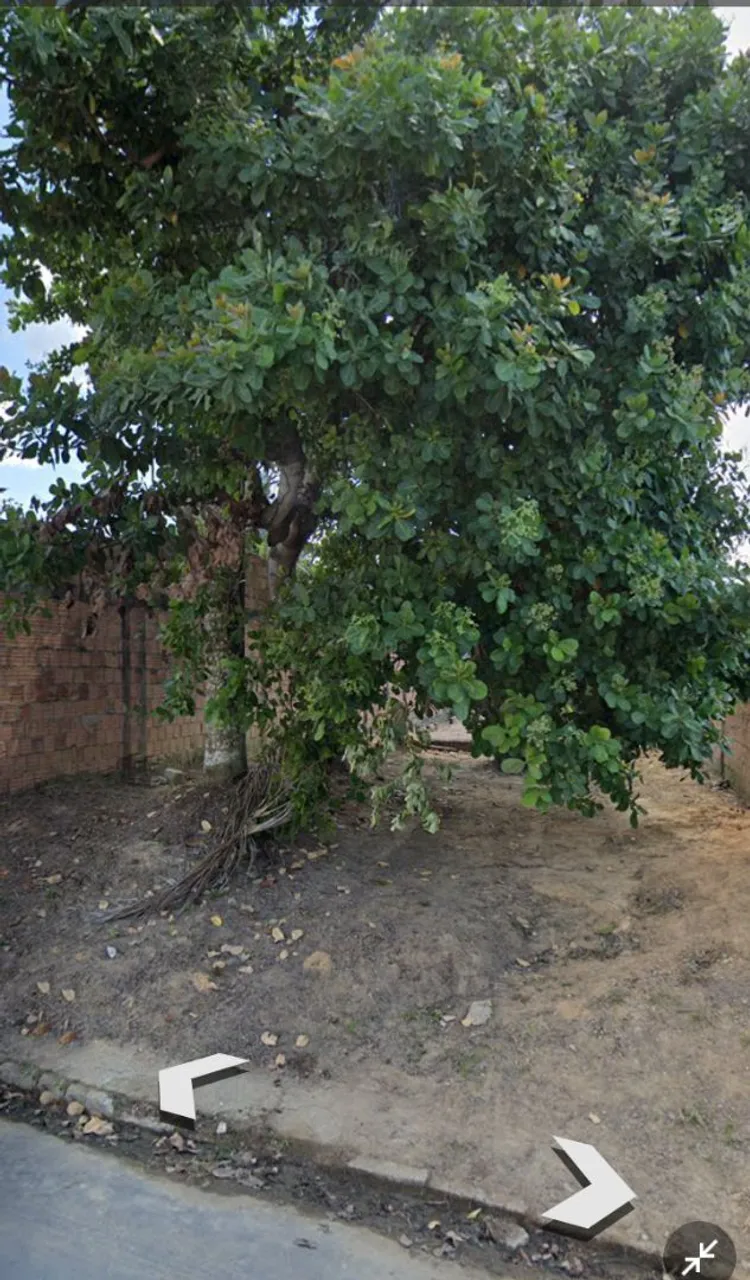 Aluguel de Terreno em área urbana para HORTA