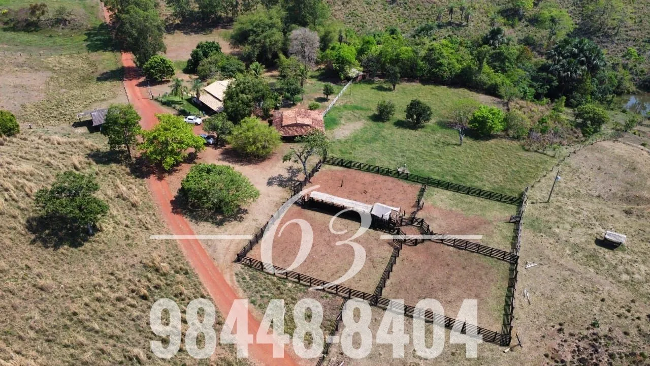 FAZENDA PRODUTIVA 60 ALQUEIRES