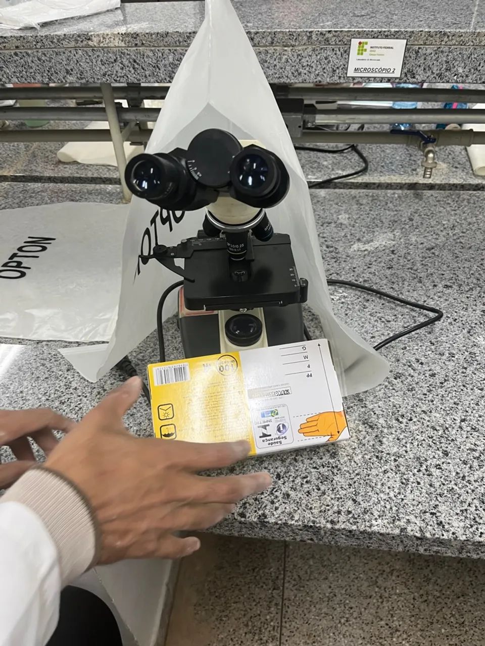 Égua crioula P.O - Foto 3