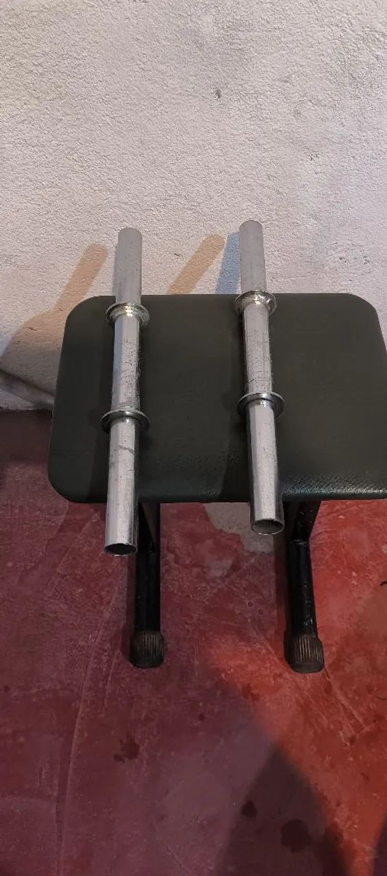 Halteres para Academia 