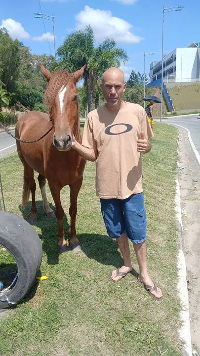 Vendo cavalo 