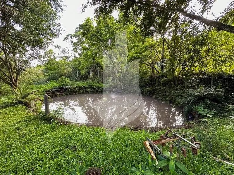 Chácara com cachoeira em Indaial - SC - Foto 6