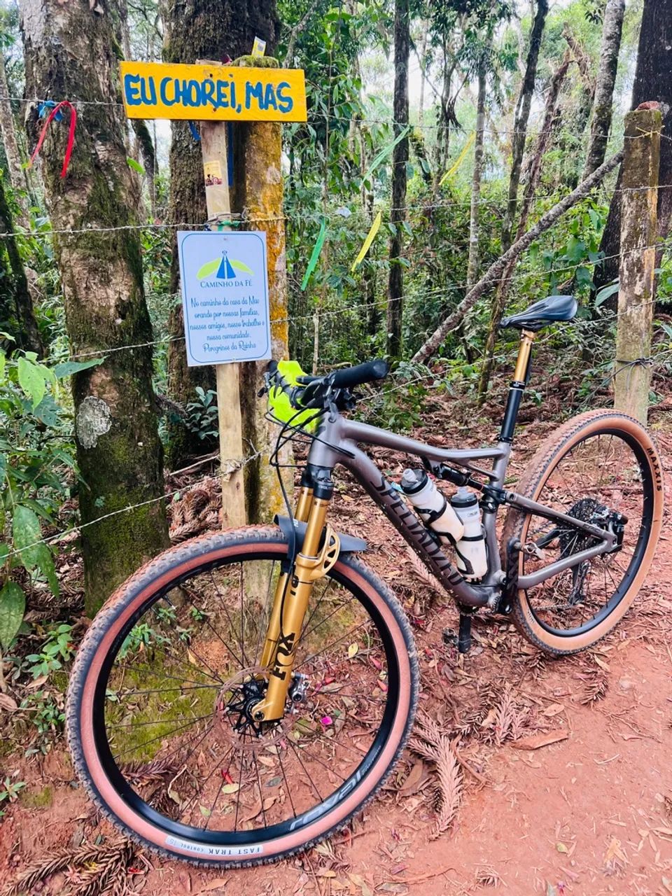 QUADRO  Specialized Epic Full 2019
