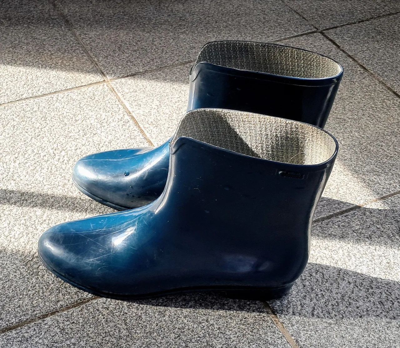 Cano Mdio Bota Cano Curto PromoÃ§Ã£o De Galochas Femininas Bota