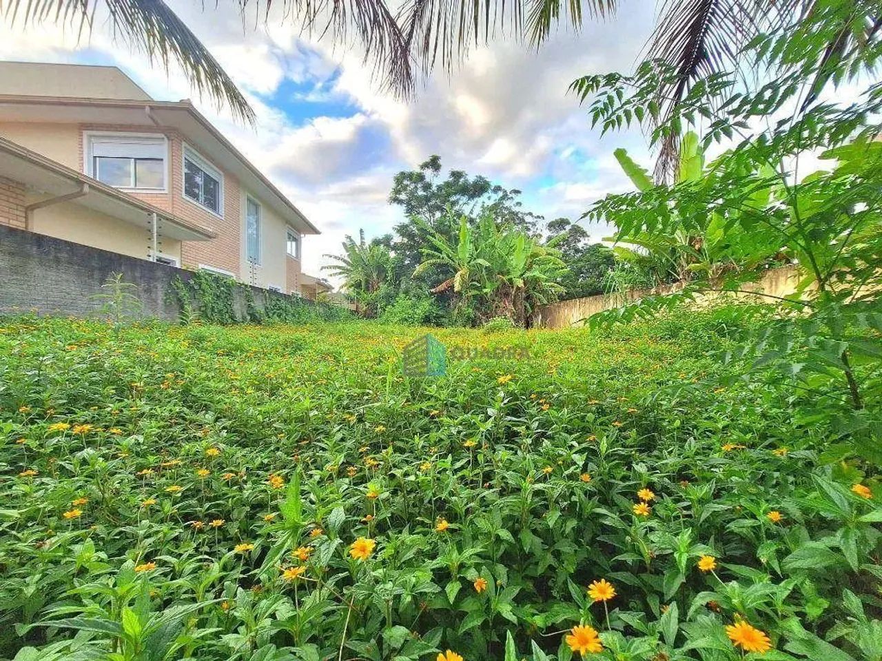 Terreno à Venda em Rua Sem Saída no Santa Mônica, Florianópolis !! - Foto 3
