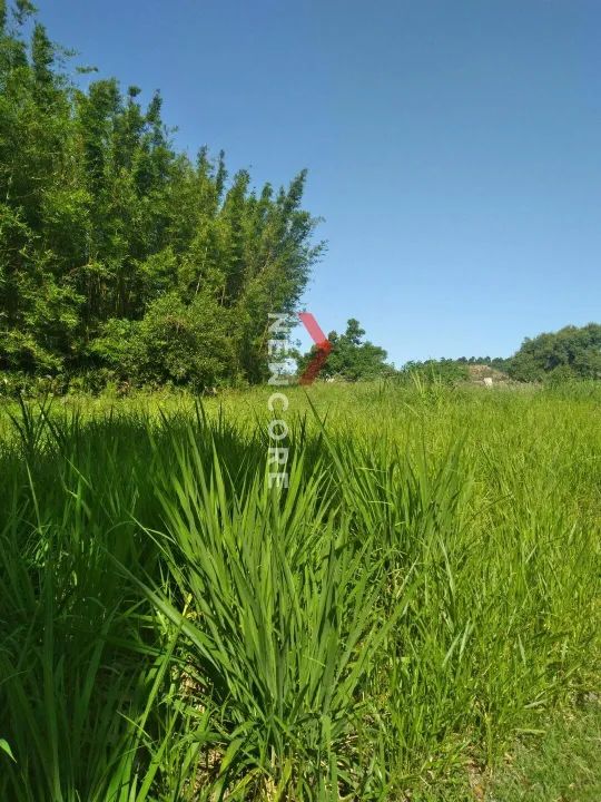 Lote em Rua 41227 - Ibiraquera - Imbituba/SC