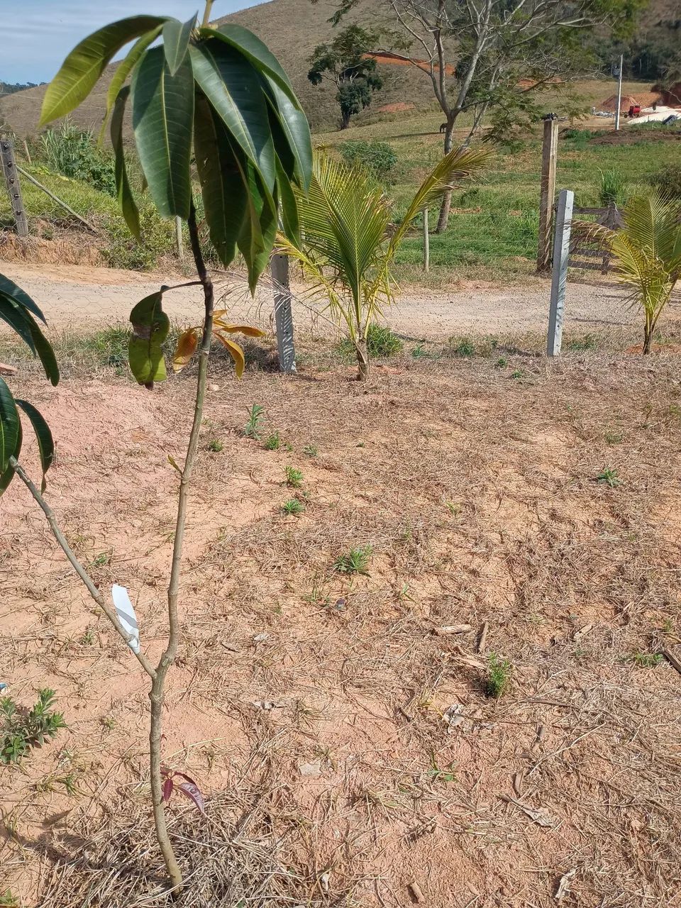 Excelente granja rural - Foto 4