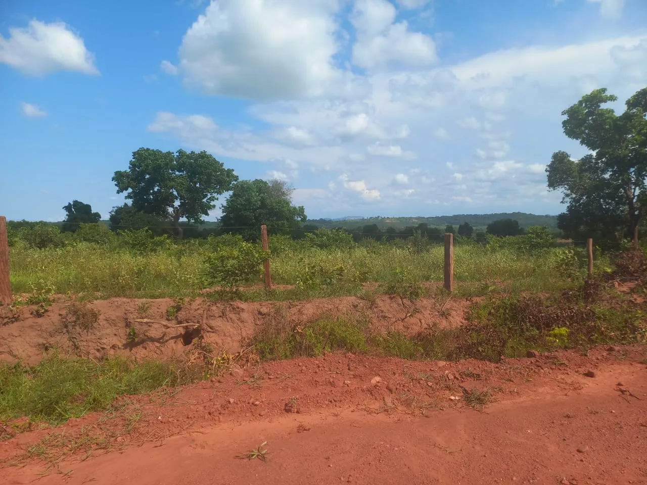 COD453  FAZENDA PARA ARRENDAMENTO   TABOCO CORGUINHO/MS