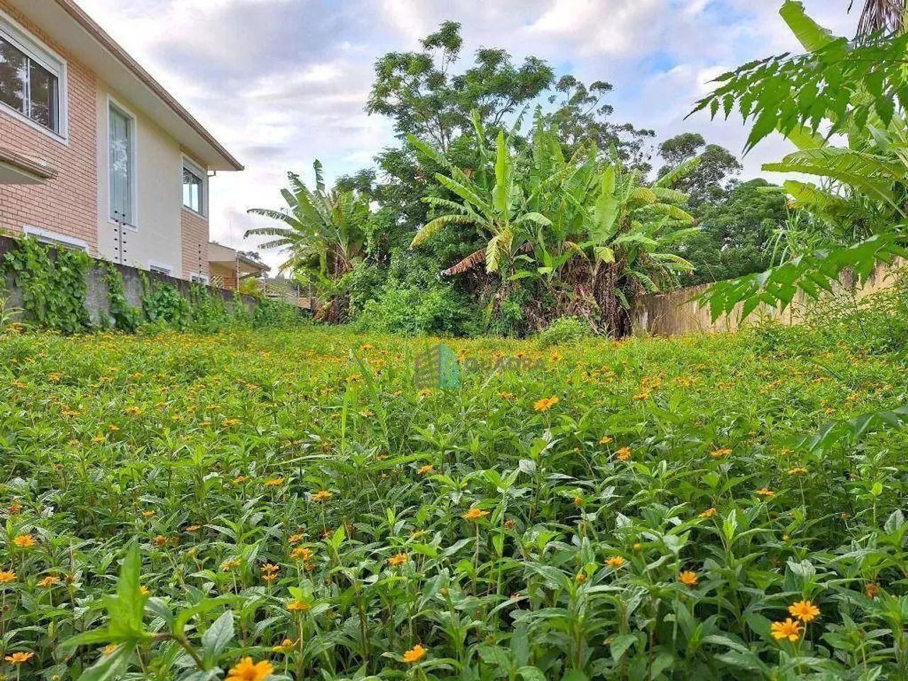 Terreno à Venda no Santa Mônica, Florianópolis !! - Foto 3