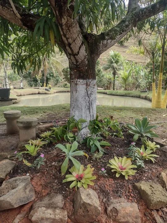 Chacara para eventos ( alugo temporada) - Foto 5