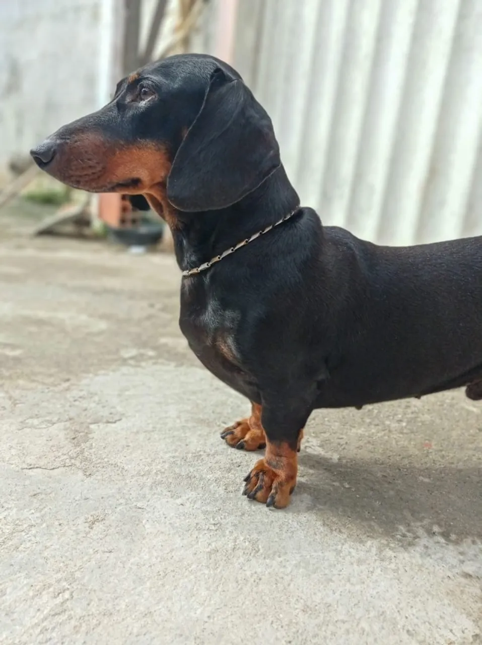 Procurando uma namoradinha