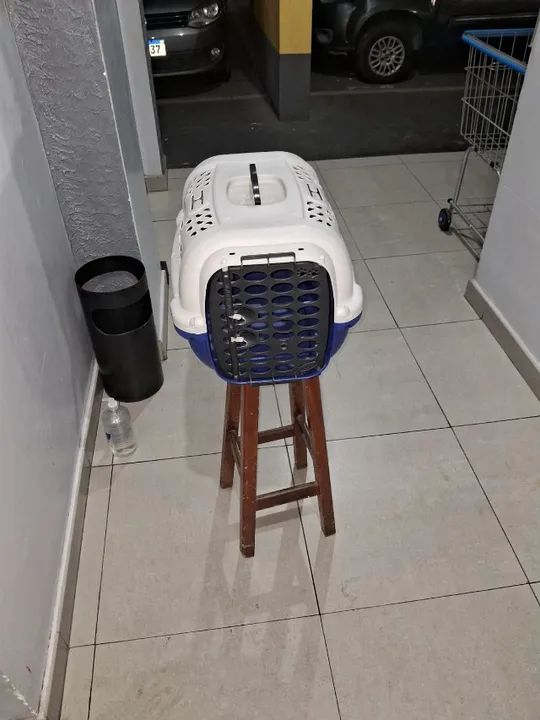 Transporte para gato ou cachorro 
