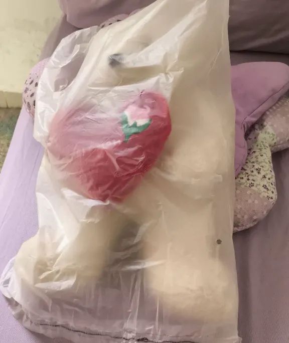 Urso de pelucia antialergico - Foto 5