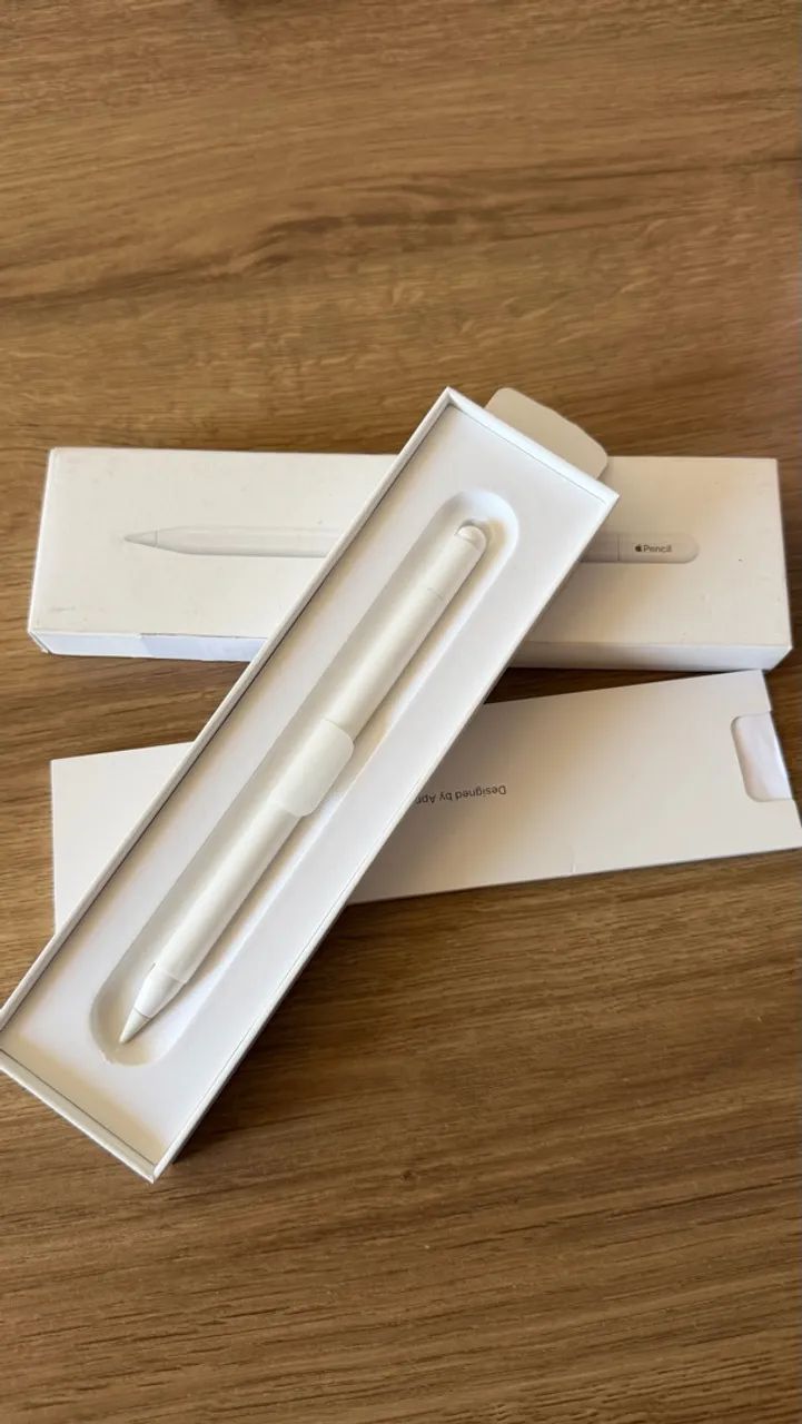 Apple Pencil USB-C (Garantia até Abril/2027) 