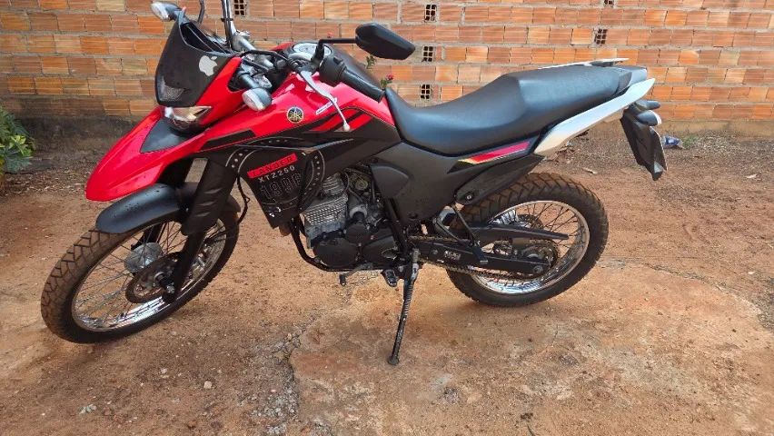 Lander 250cc Personalizada - Foto 2