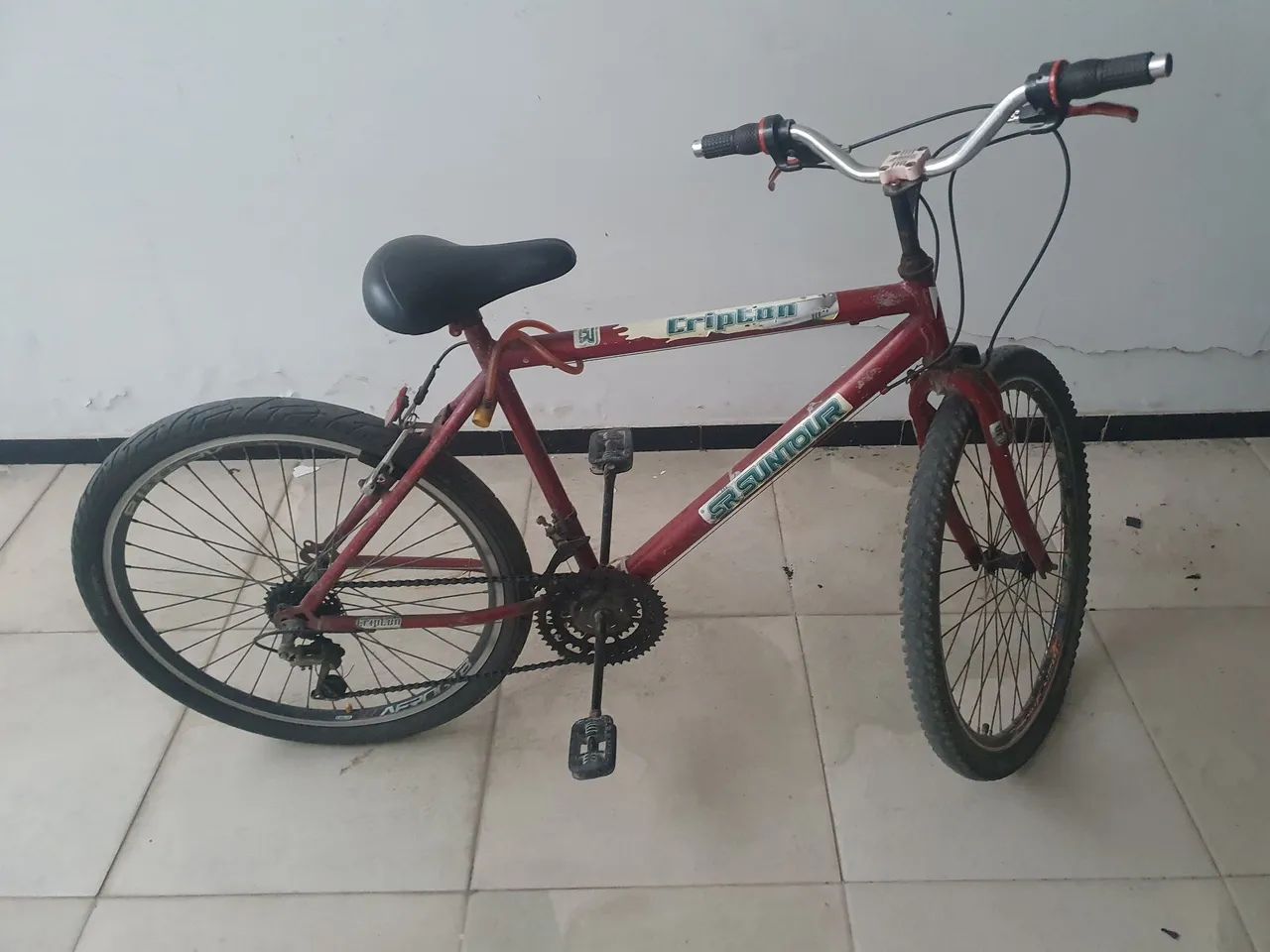 BICICLETA 