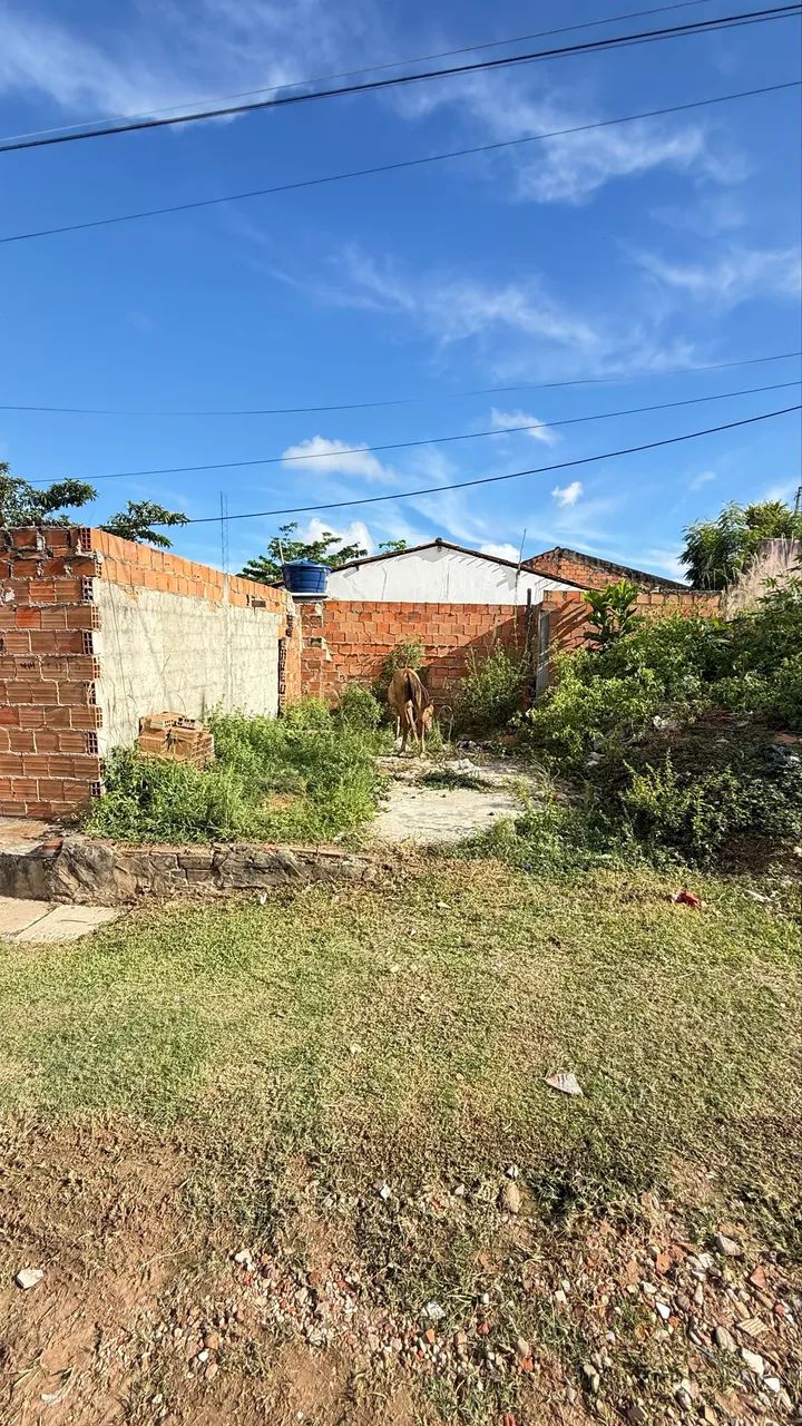 Terreno No Luís Alves ( Sao Cristóvão)  - Foto 2
