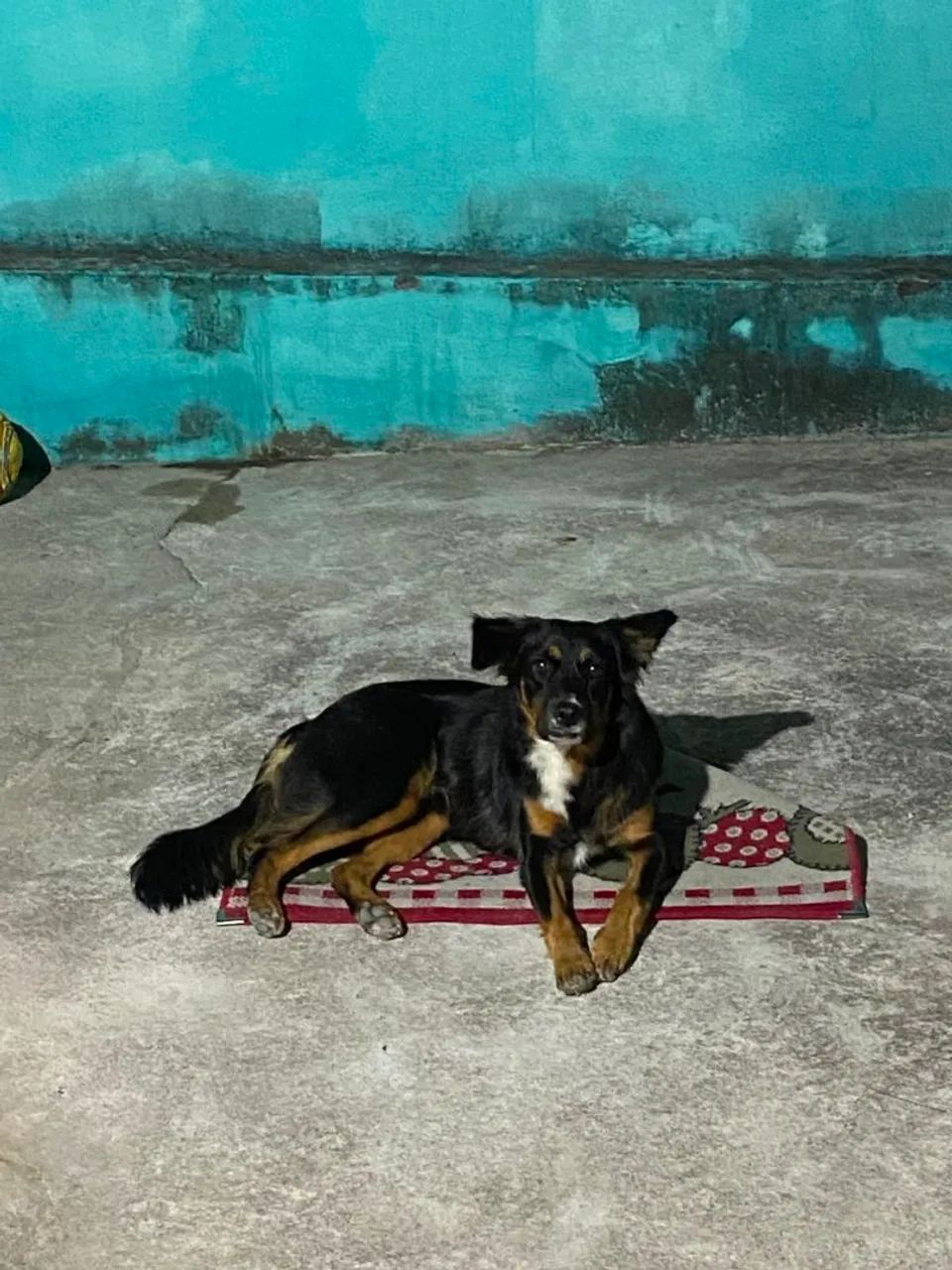 Doação 