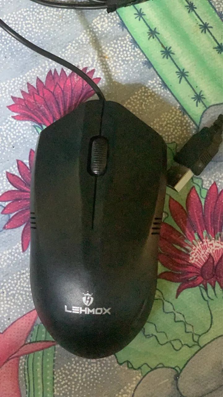 Mouse - Foto 2