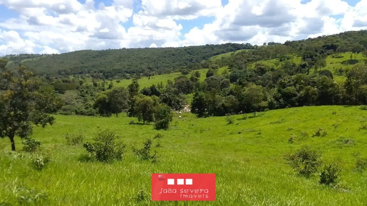 Fazenda para Venda em Hidrolina - Foto 3
