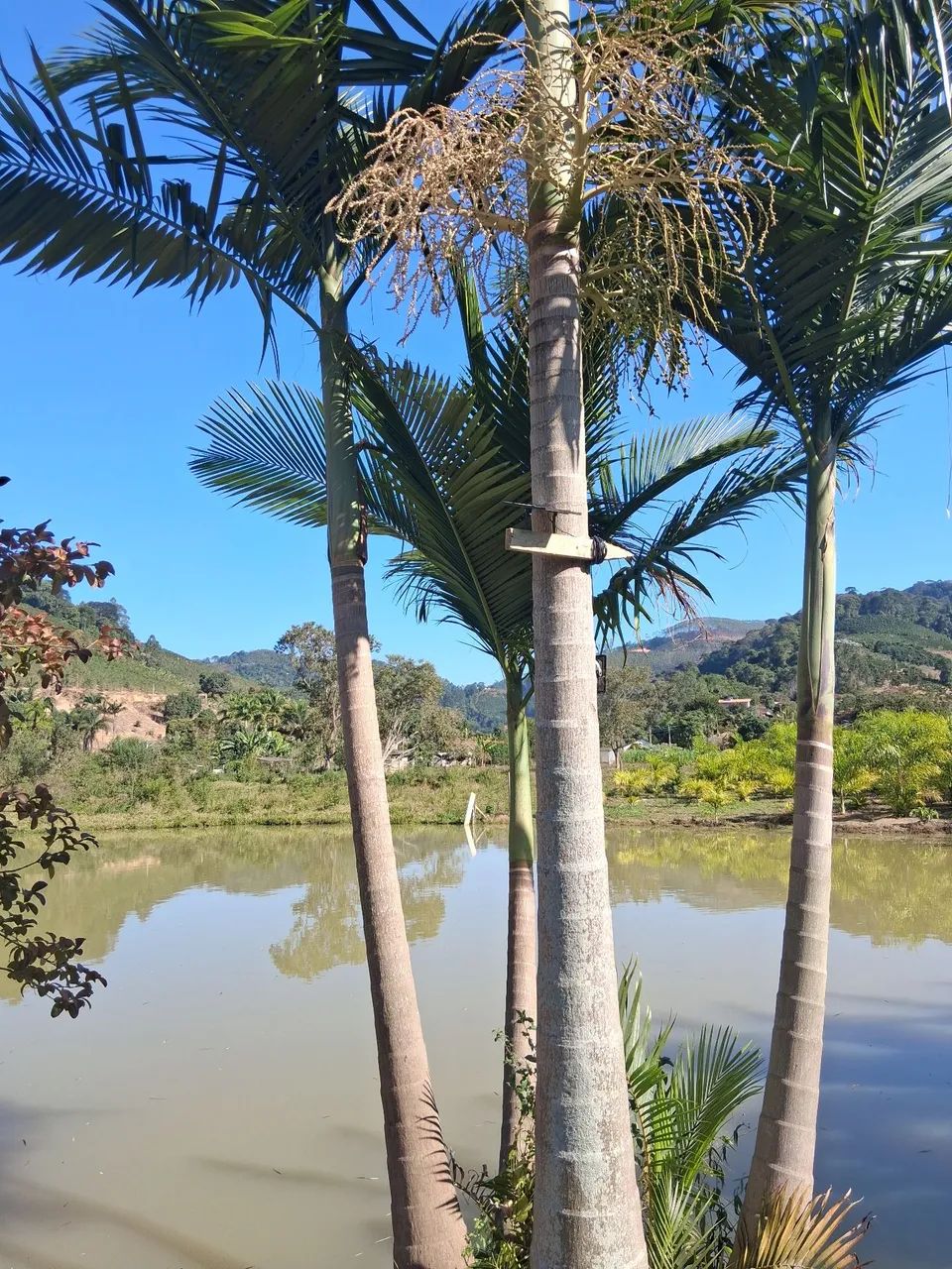 Casa mobiliada pra temporada, final de semana.  - Foto 4