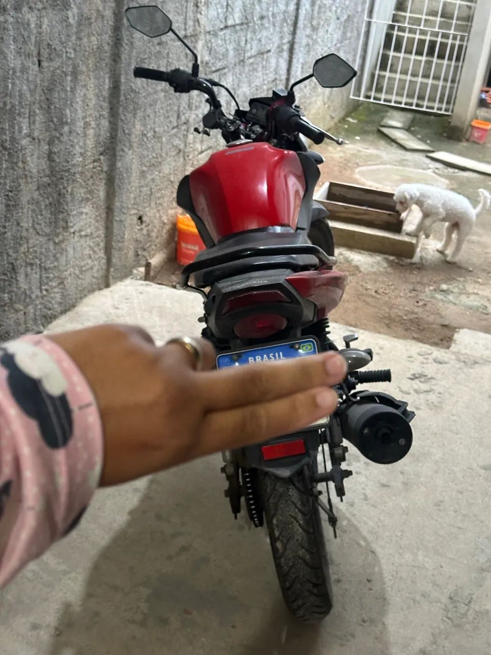 Factor 150 2023 