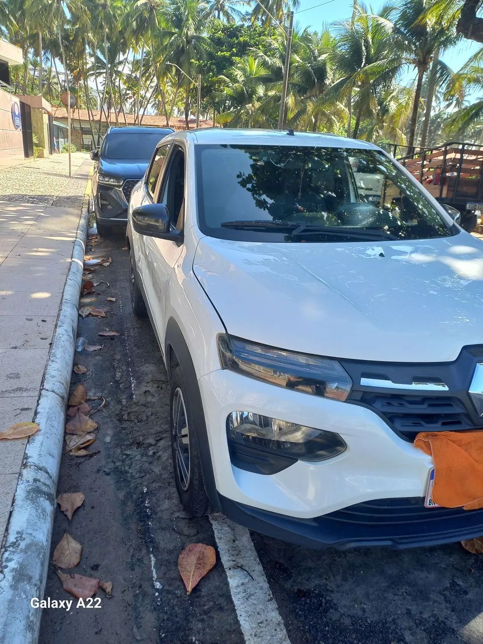 Vendo renolt kuid 23  - Foto 5