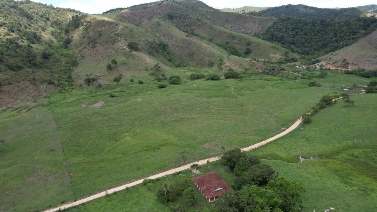 Excelente Fazenda em Flexeiras Alagoas  - Foto 3