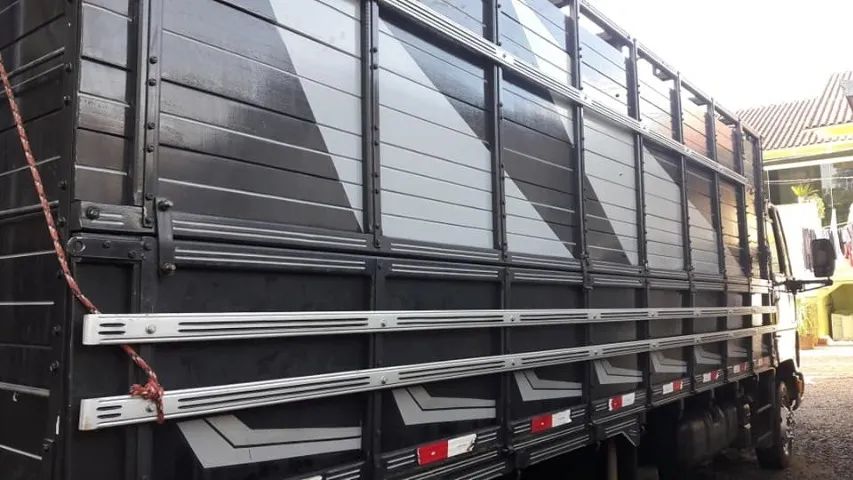 Ford cargo 815 boiadeiro 2012 - Foto 5