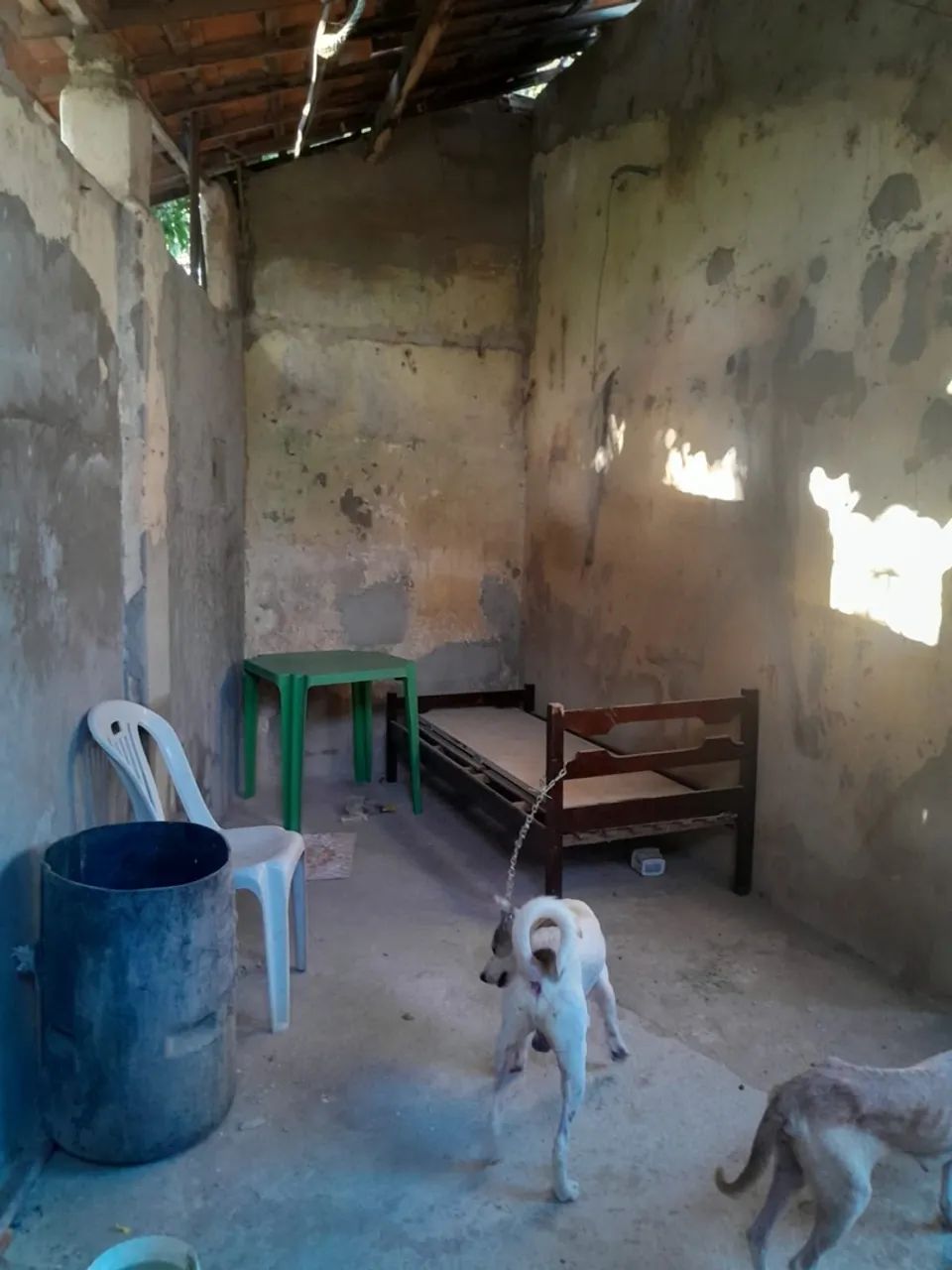 Vendo Casa - Foto 3