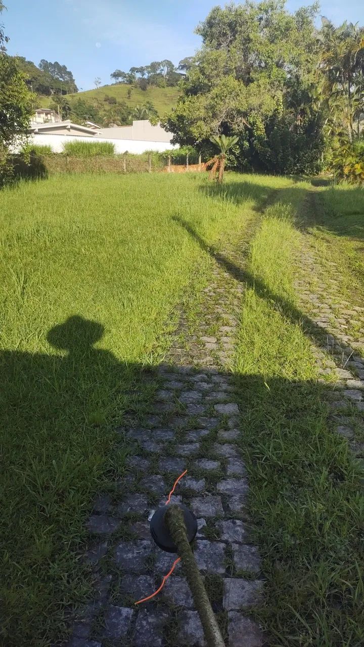 Zé jardinagem em geral  - Foto 5